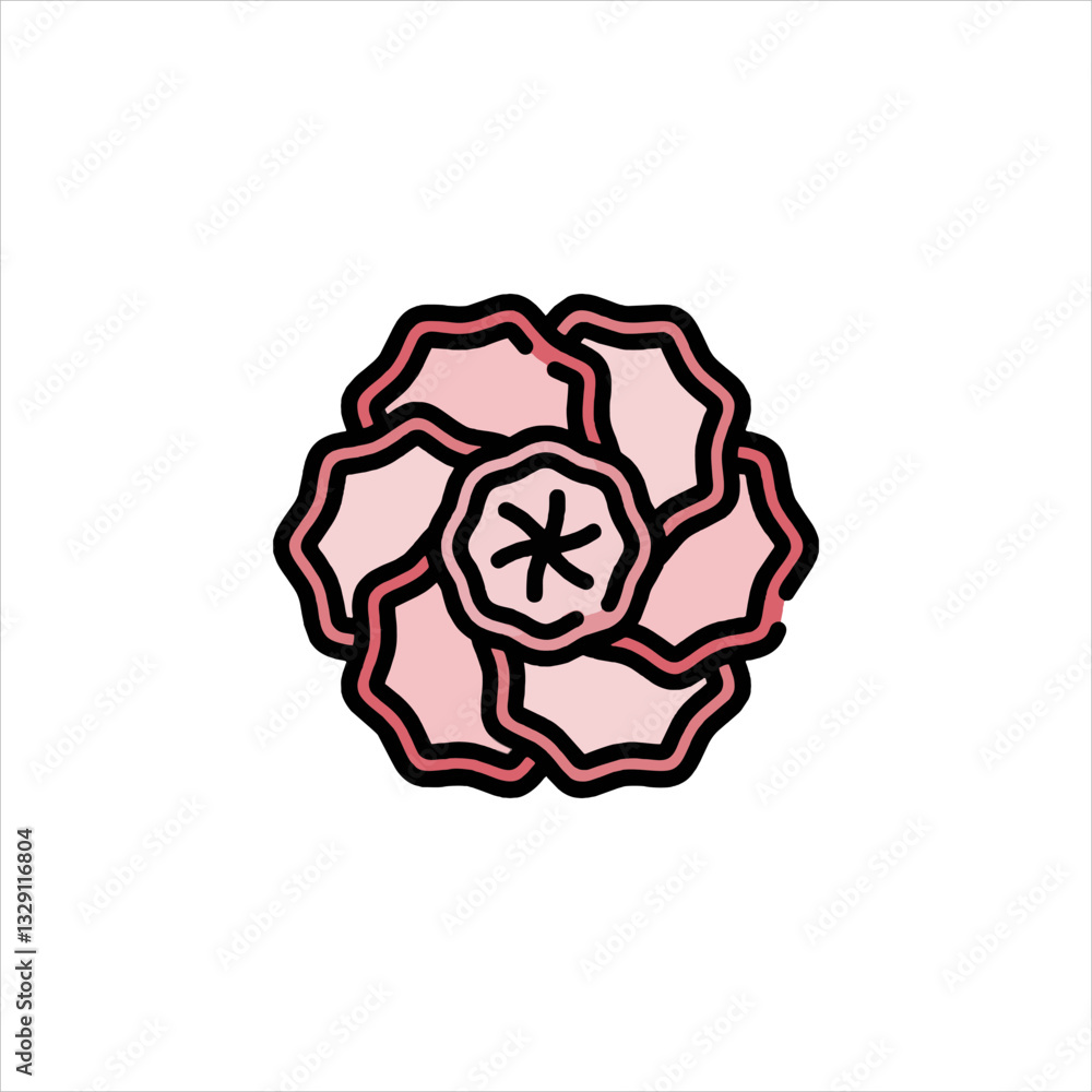 pink rose isolated on white pink rose isolated on white