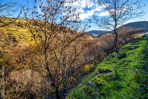 Invieerno en los montes de Patones y rio Lozoya photo