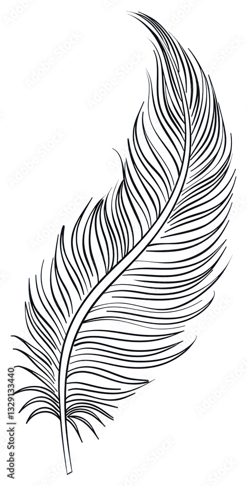 Fototapeta premium PNG Elegant black feather line art