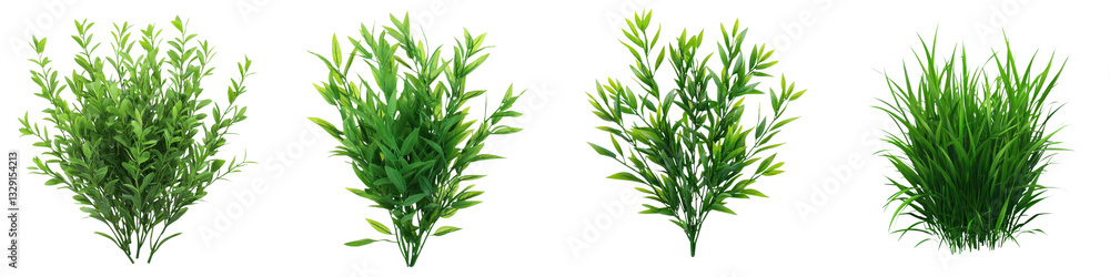 Fototapeta premium A collection of vibrant healthy plants and greenery showcasing the diversity and beauty of natural vegetation