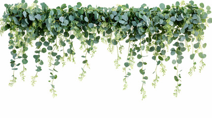 Elegant eucalyptus garland decoration with delicate details of small, white blooms for graphic design