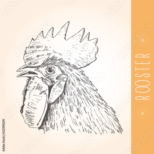 Rooster's head hand drawn, brown and yellow colors. Isolated picture on yellow background with rooster
