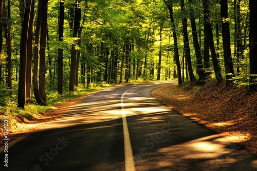 Sun-drenched forest road winding through lush trees.  A pathway bathed in golden sunlight, leading deeper into a verdant woodland photo