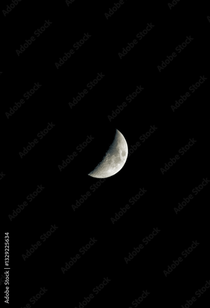 moon in the night moon in the night