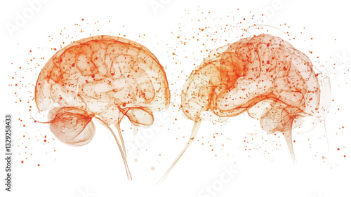 The image presents a stylized depiction of two brain forms rendered in shades of orange.  The forms are translucent with visible internal structures and appear to be composed of or surrounded by