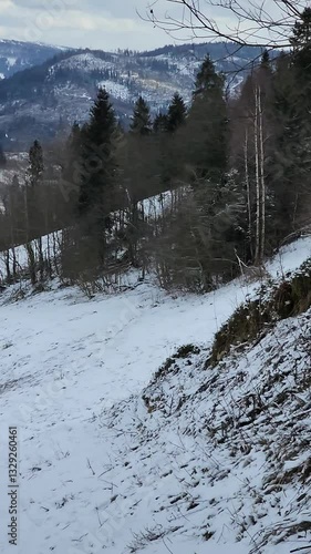 Wallpaper Mural Footage Full HD 1080x1920 vertical frames, portrait mode, winter in the mountains Torontodigital.ca