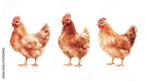 A digital watercolor painting depicts three light brown hens against a white background. Each hen is rendered in detail, showing feathers, comb, and wattle. The style is illustrative, with soft