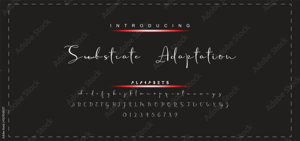 Hand drawn calligraphic vector monoline font. Distress signature letters. Modern script calligraphy type. ABC typography latin signature alphabet. Hand drawn calligraphic vector monoline font. Distress signature letters. Modern script calligraphy type. ABC typography latin signature alphabet.