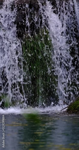 Wallpaper Mural water flowing in the forest Torontodigital.ca