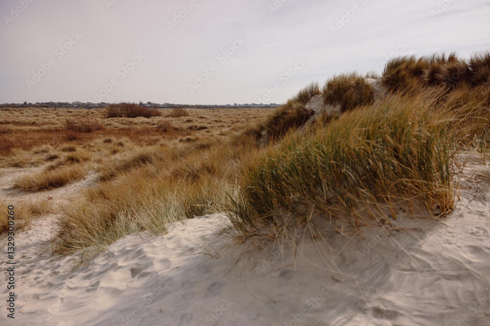 dunes in the sand
