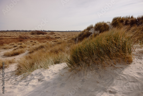 Obraz na płótnie dunes in the sand w salonie