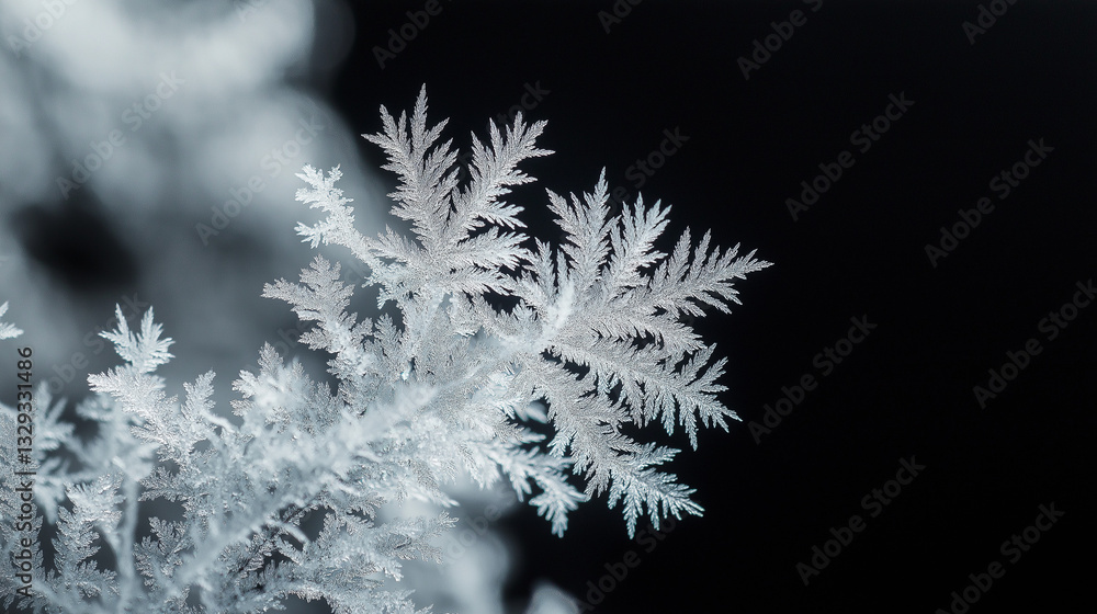 Frosty Elegance: Ice Crystals as a Model of Natural Grace and Sleek Minimalism Frosty Elegance: Ice Crystals as a Model of Natural Grace and Sleek Minimalism