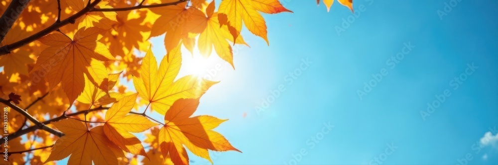 Sunlit yellow leaves against a vibrant blue autumn sky, ample copy space , clear, sunshine Sunlit yellow leaves against a vibrant blue autumn sky, ample copy space , clear, sunshine
