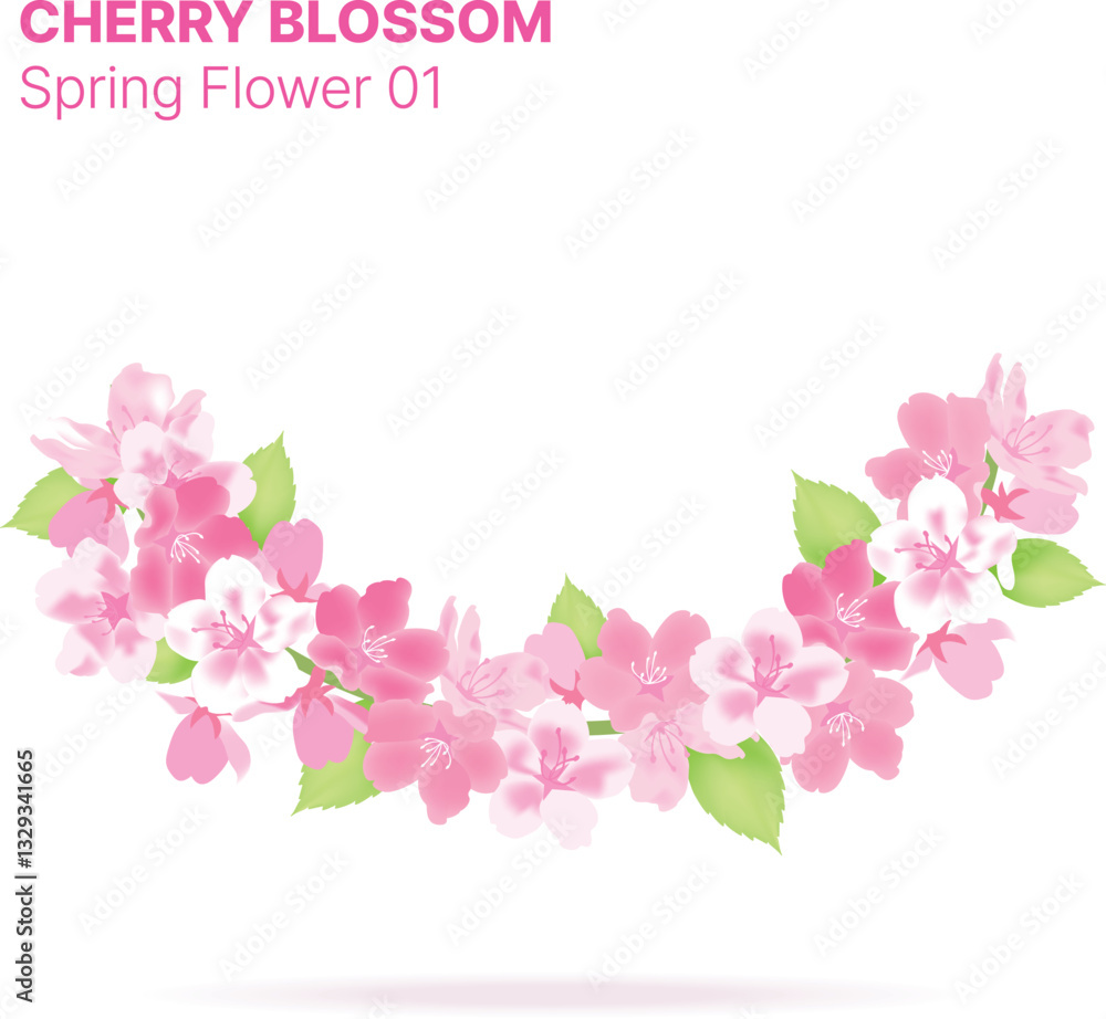 Sakura or Cherry Blossom Arranged in Borders Sakura or Cherry Blossom Arranged in Borders