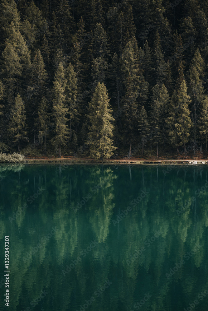 View of serene lake reflecting lush trees in tranquil forest, Pontresina, Graubunden, Switzerland. View of serene lake reflecting lush trees in tranquil forest, Pontresina, Graubunden, Switzerland.