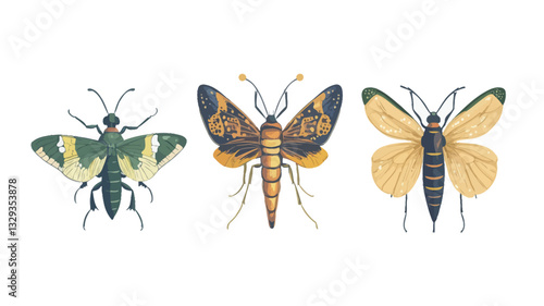The image presents a digital illustration showcasing three different insects, possibly moths and butterflies, viewed from a dorsal perspective.  The insects are depicted in a style reminiscent of