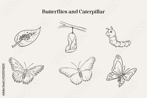 Black and white illustration showcasing the stages of a butterfly's life cycle, including eggs, caterpillar, chrysalis, and the adult butterfly phases, emphasizing natural transformation and biology c