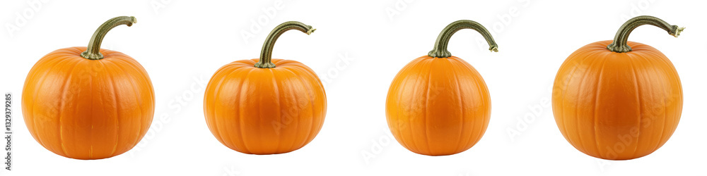 Obraz premium Small Orange Pumpkin on White, Cut Out Set