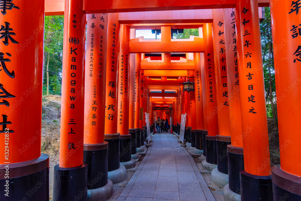 Torii gates of Fushimi Inari Taisha shrine in Kyoto, Japan Torii gates of Fushimi Inari Taisha shrine in Kyoto, Japan