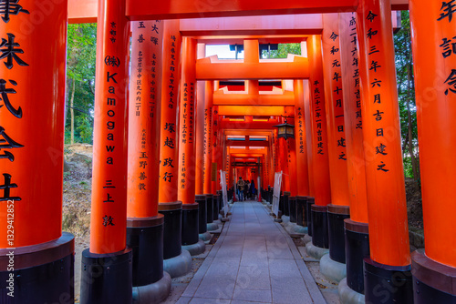 Obraz na płótnie Torii gates of Fushimi Inari Taisha shrine in Kyoto, Japan w salonie