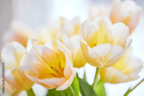 Wallpaper Mural Bouquet of white and yellow tulips in a vase on the window. Delicate flowers for the holiday Torontodigital.ca