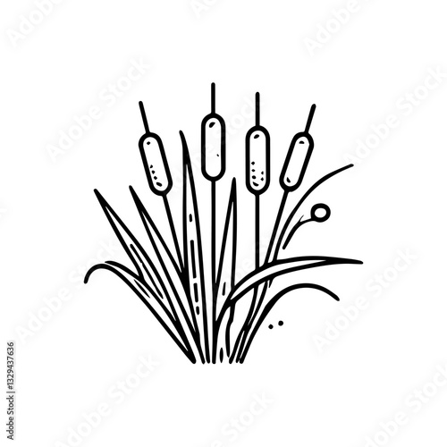 A simple yet elegant line art illustration of cattail reeds, drawn with detailed strokes on a white background. The artwork captures the natural beauty of wetland plants in a minimalist and modern sty