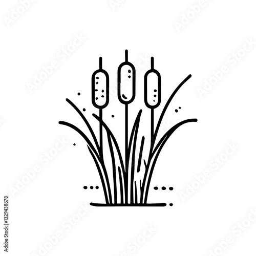 Simple line art of cattail reeds with detailed strokes on white background. Nature concept