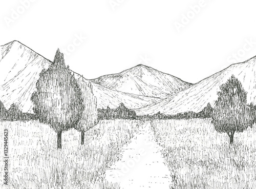 長閑な山と草原の風景画