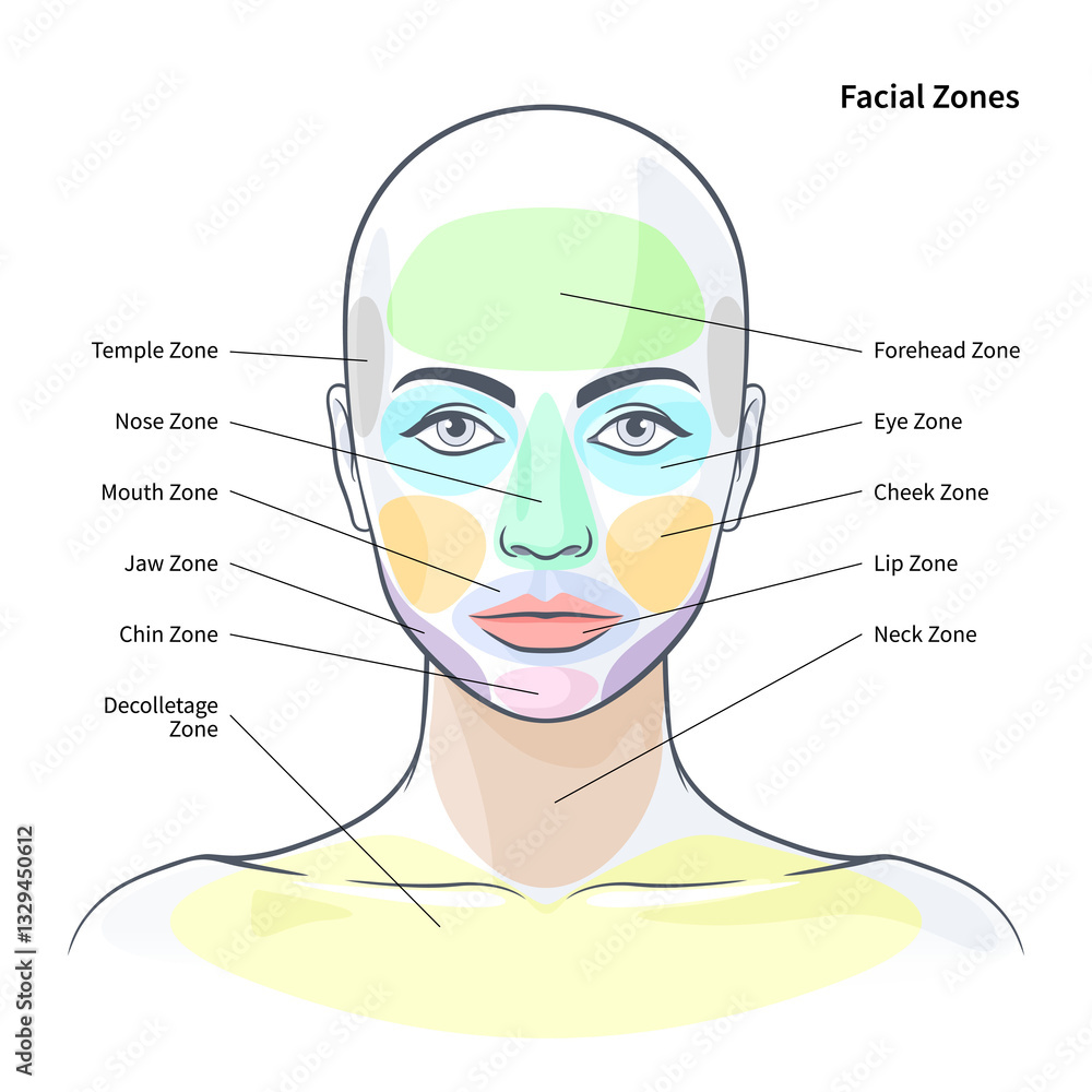 Fototapeta premium Facial cosmetic zones diagram. Health zones on the skin illustration