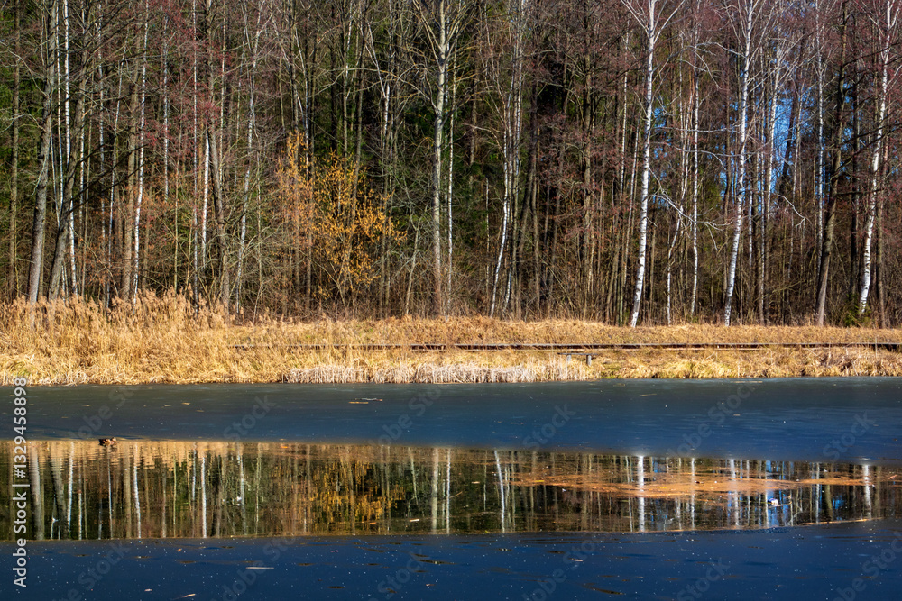 Zalew Czapielówka w Puszczy Knyszyńskiej, Podlasie, Polska