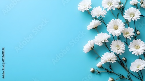 Graceful Display of Soft White Blooms on a Pale Blue Canvas.