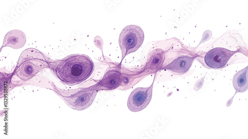 Microscopic image depicting a flowing arrangement of purple and light purple cellular structures against a white background.  The cells are depicted with varying shades of purple, appearing