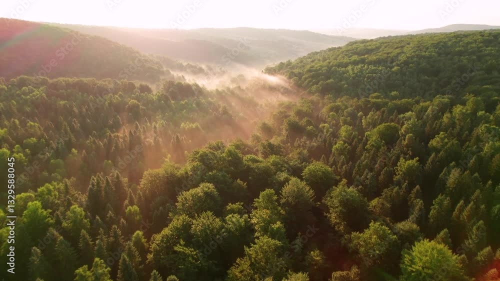 Serene aerial view of dense forest, with wisps of mist floating above treetops. Sunlight filters through, casting warm glow on mist and creating magical, dreamlike atmosphere in lush greenery. Serene aerial view of dense forest, with wisps of mist floating above treetops. Sunlight filters through, casting warm glow on mist and creating magical, dreamlike atmosphere in lush greenery.