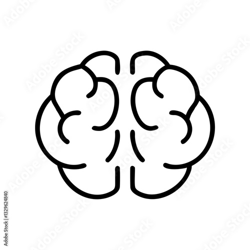 brain