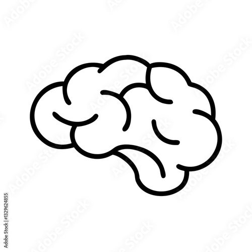 brain