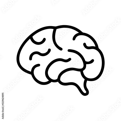 brain