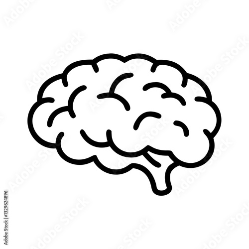 brain