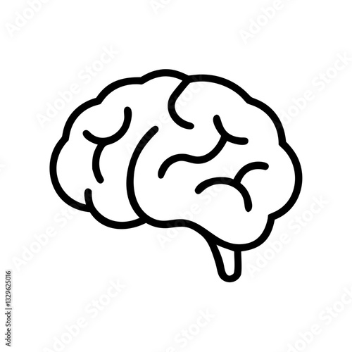 brain