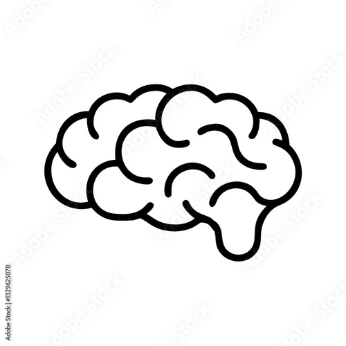 brain