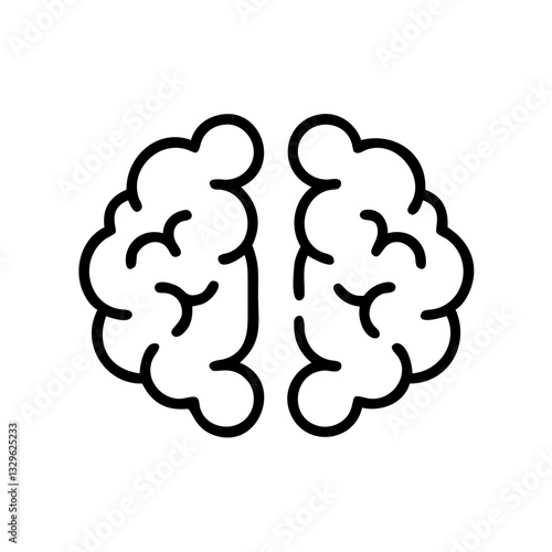brain