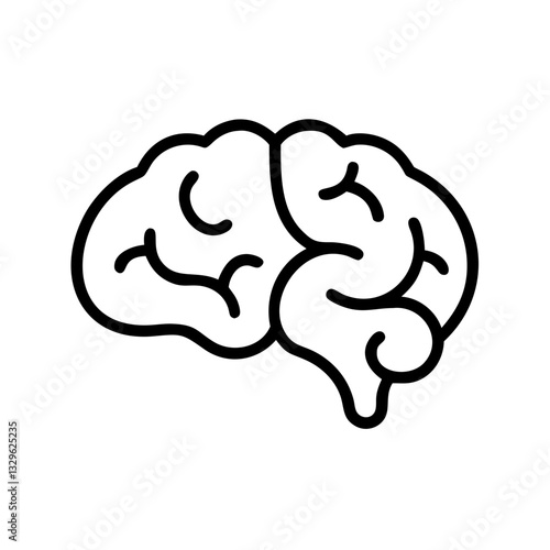 brain