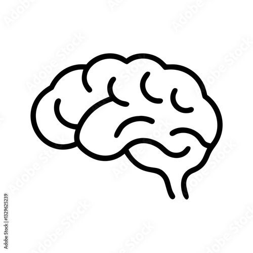 brain