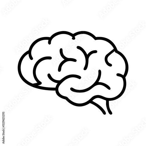 brain