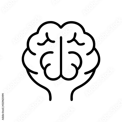 brain