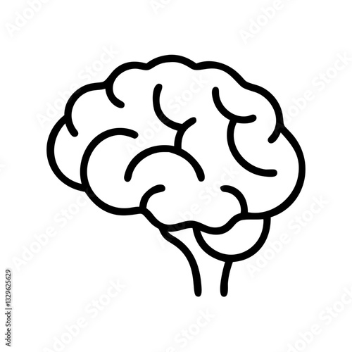 brain