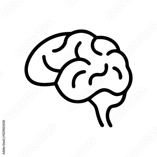 brain