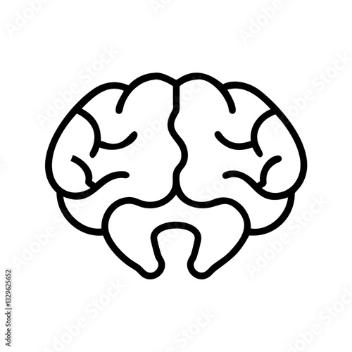 brain
