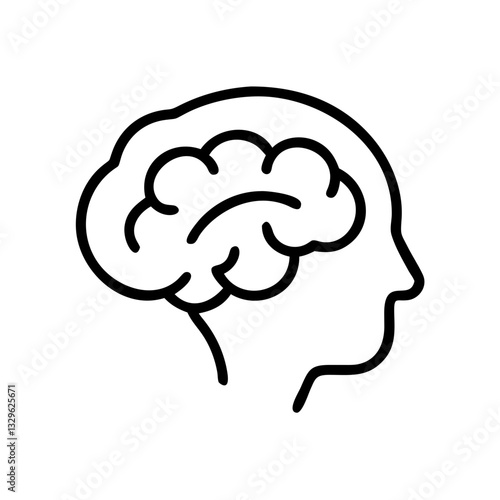 brain