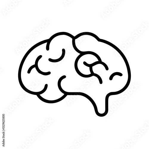 brain