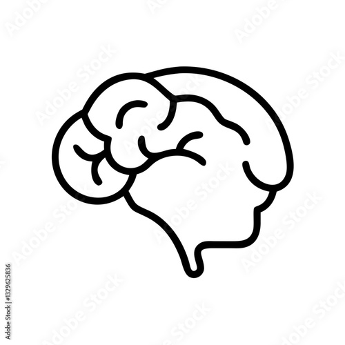 brain